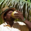 Отель Firefly Estate Bequia, фото 39