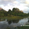 Отель Sigiriya Danu homestay, фото 20