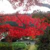 Отель Otsu Nature Garden, фото 39