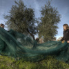 Отель Castello Vicchiomaggio, фото 18