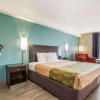 Отель Econo Lodge Inn & Suites I-65, фото 10