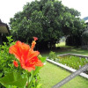Отель Guest House Sokodoso, фото 2