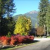 Отель Mt. Baker Lodging Cabin 6 – Hot Tub, WiFi, Sleeps 8! by MBL в Глейшере