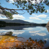 Отель The Boat House Chalet - Boat of Garten - Near Aviemore - Sleeps 6, фото 5