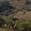 Отель Morgenzon Bed and Breakfast, фото 40