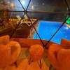 Отель Sapanca Narlı Bahçe Bungalov, фото 16