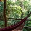 Отель La Aldea de la Selva Lodge, фото 18