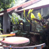 Отель Baan Songjum Homestay, фото 29