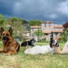 Отель Monastero San Silvestro, фото 31