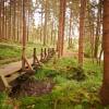 Отель Naturkost-Hotel Harz, фото 18