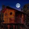 Отель Dream catcher tree house в Превезе