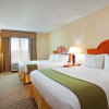 Отель Holiday Inn Express & Suites Lenoir City (Knoxville Area), фото 22