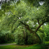 Отель Rayburn Resorts, фото 45