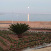 Отель Sunny Dahab, фото 12