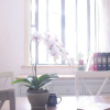 Отель Wonderland - Xinzhuang Homestay, фото 12