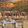 Отель Ohange Namibia Lodge, фото 15