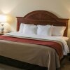 Отель Comfort Inn & Suites, фото 24