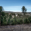 Отель Ruidoso - 171 Deer Park Drive, фото 19