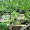 Отель 腾冲安泰农家乐, фото 9