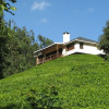 Отель Kimakia Tea Cottages, фото 14