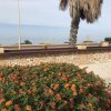 Отель Shark Bay Seafront Apartments, фото 18