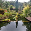 Отель Lumiar Eco Lodge - Chale Telhado Verde, фото 2