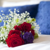 Отель Aewol Oceanstay, фото 12