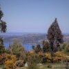 Отель Vista Tranquila Chiloe, фото 1