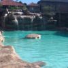 Отель Parque do Avestruz Eco Resort All Inclusive, фото 36