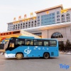 Отель Zaoyuan Hotel - Yanan, фото 17