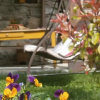 Отель B&B Il Canto del Bosco, фото 3