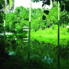 Отель Excelsior Sylhet Hotel & Resort, фото 7