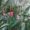 Отель Ben Tre Garden Farmstay, фото 36