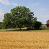 Отель Lovely Farmhouse in Wijlre with Forest Nearby, фото 2