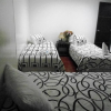 Отель Esmeralda Real Hotel, фото 5