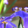 Отель Pousada Magia da Montanha, фото 24