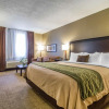 Отель Comfort Inn, фото 3