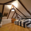Отель Attic Hroznova - Charles Bridge, фото 6