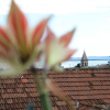 Отель Big 80 m2 apt With Balcony in the Heart of Split, фото 20