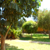 Отель Royal Kwandu Gardens, фото 10