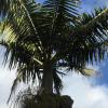 Отель Villa Sao Goncalo, фото 24