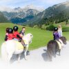 Отель Reiterhof Berggut Gaicht, фото 9