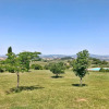 Отель Tenuta Fattoria Vecchia, фото 16