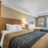 Отель Comfort Inn, фото 4