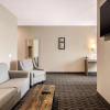 Отель Comfort Inn & Suites, фото 43