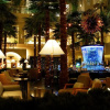 Отель Sheraton Grande Ocean Resort, фото 43