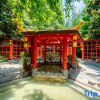 Отель Poly Hot Spring Guiyang Hotel, фото 6