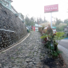 Отель Savana Bromo Homestay RedPartner, фото 1
