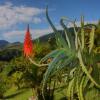 Отель Pousada Coração Verde, фото 11