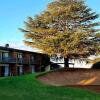 Отель Shepparton Golf Club Motel, фото 1